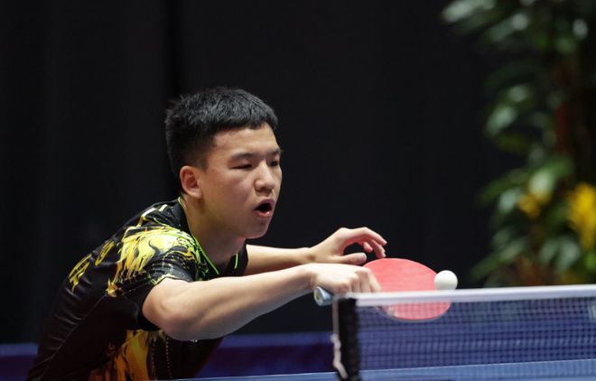 术多样性将 术多样性将